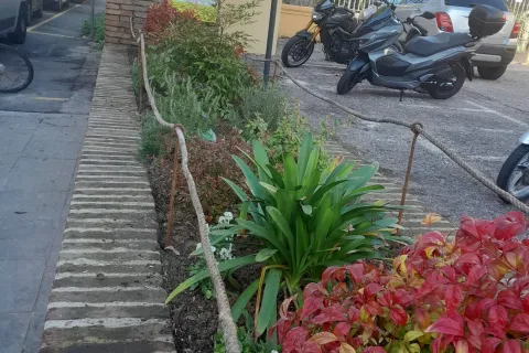 vasca mura federiciane