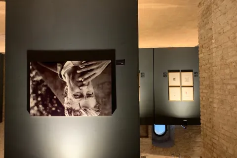 mostra fellini lynch