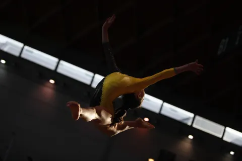 Ginnastica in festa