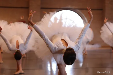 gruppo swan lake