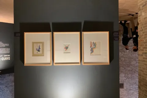 exhibition lynch fellini museum