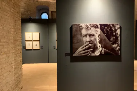 exhibition lynch fellini museum