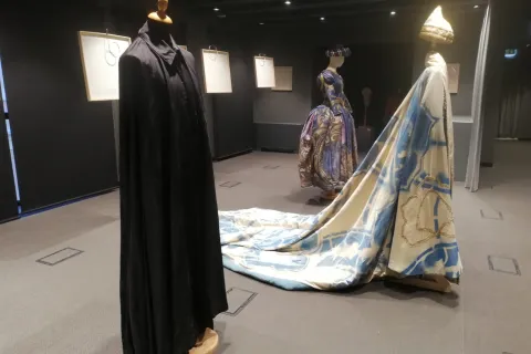 Fellini Museum