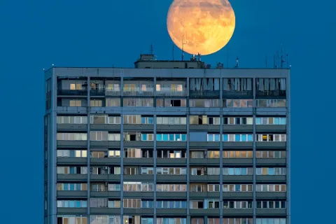 Primo premio: Roberto del Bianco