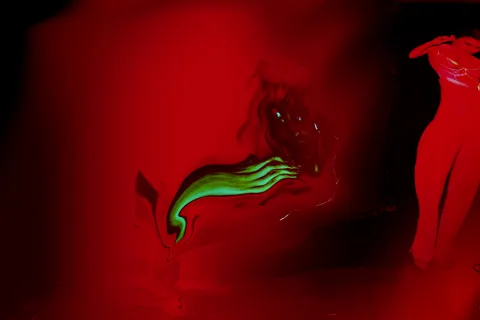 Filippo Quezel Tirannosauro 2023