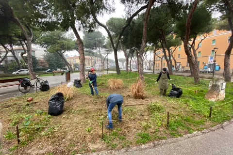 verde pubblico
