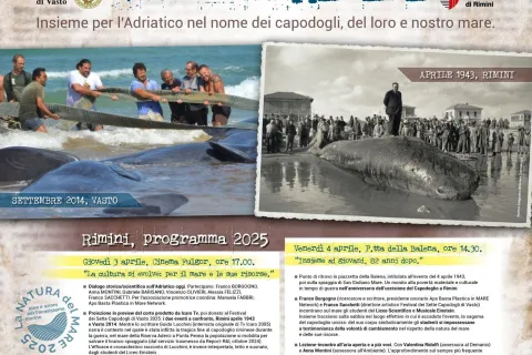 manifesto_programma_anteprima_festival_sette_capodogli