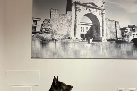 Unità cinofila #2