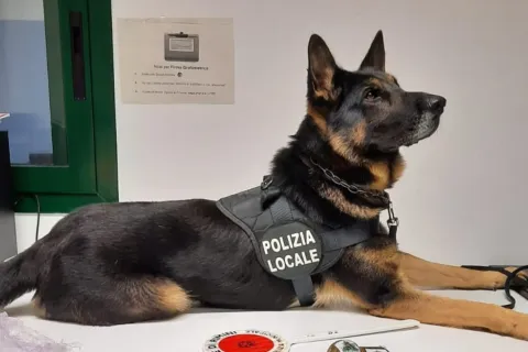Unità cinofila #1