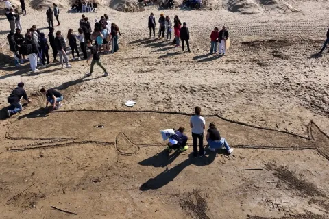 grande balena sulla spiaggia