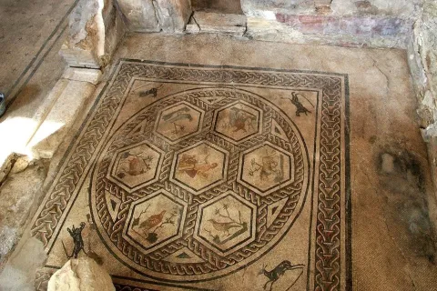 Domus del Chirurgo