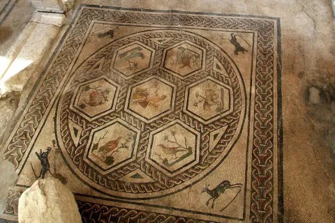 Domus del Chirurgo