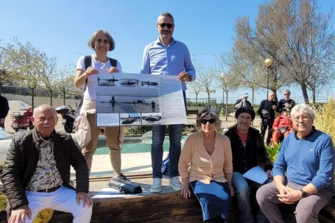 grande balena sulla spiaggia