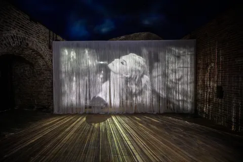 passeggiate culturali  - museo fellini
