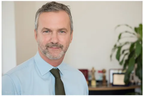 settima arte 2025 proia