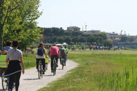 bimbinbici 2025