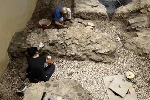 essere di mosaico. Il 2 giugno la domus di Palazzo Massani apre le sue porte