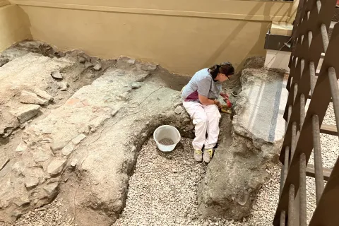 essere di mosaico. Il 2 giugno la domus di Palazzo Massani apre le sue porte