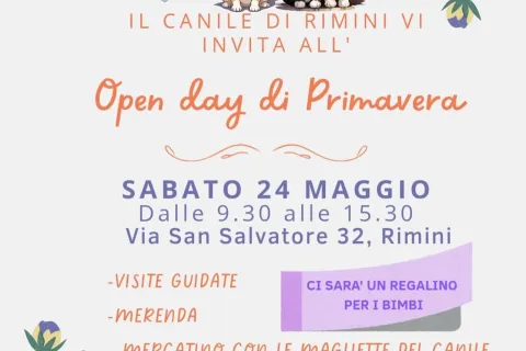 canile stefano cerni 2025