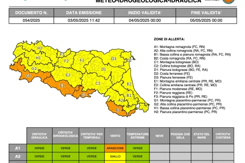 allerta 54/2025