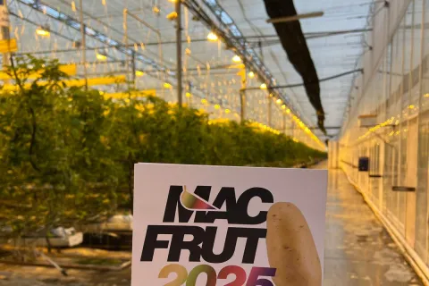 macfrut