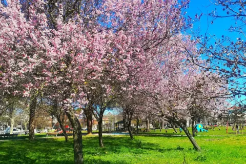 Parco Spina