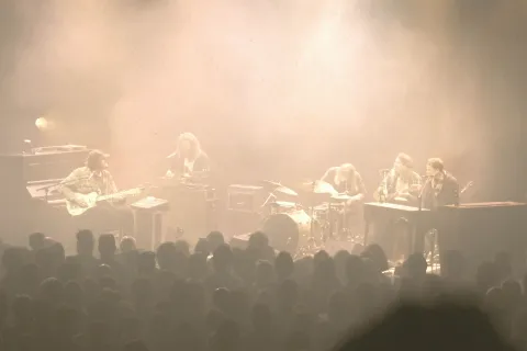 Band Live vertical_CREDIT Petra Wester Norgren.jpg