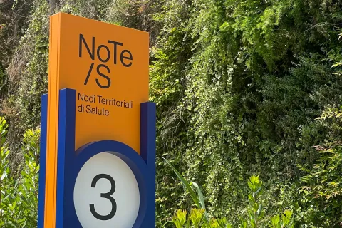 conferenza nodi territoriali salute