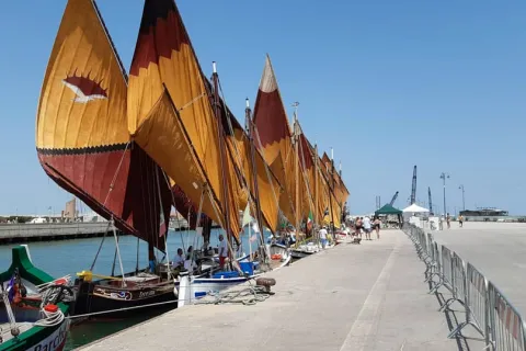 Storia, arte e tradizione marinara: tutte le proposte del weekend per scoprire le bellezze di Rimini