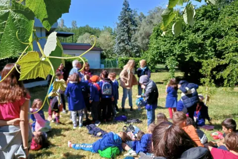 civivo scuola A Bertola, cartelli identificativi sugli alberi da frutto