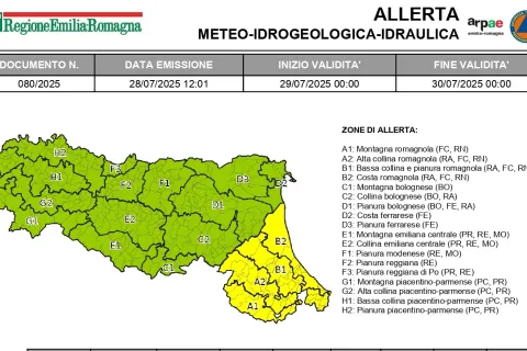 allerta29luglio