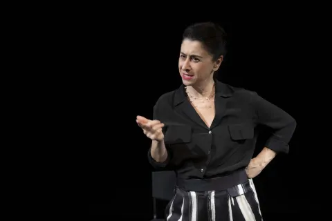 Metaforicamente Schiros