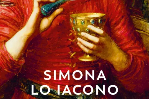 copertina libro virdimura