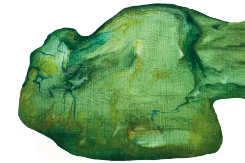 Il passero bianco di Sara Fiorini