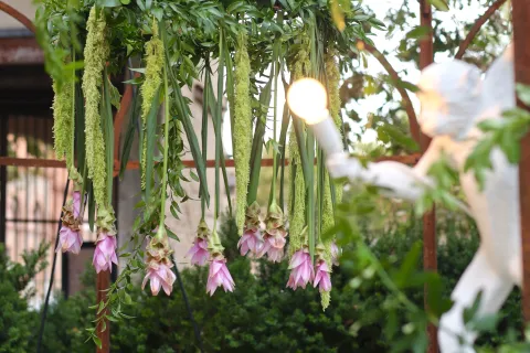 Giardini d'Autore Rimini edizione autunno 2025