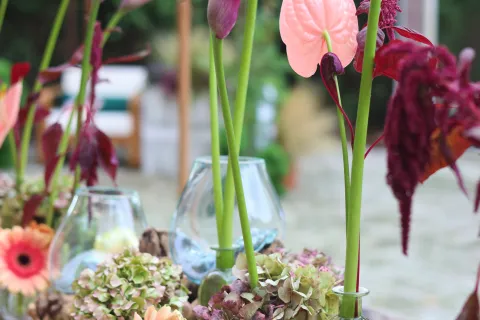 Giardini d'Autore Rimini edizione autunno 2025