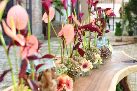 Giardini d'Autore Rimini edizione autunno 2025