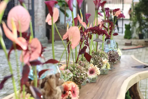 Giardini d'Autore Rimini edizione autunno 2025