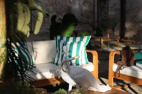 Giardini d'Autore Rimini edizione autunno 2025