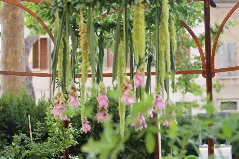 Giardini d'Autore Rimini edizione autunno 2025