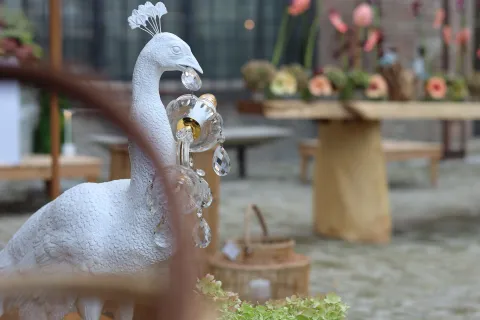 Giardini d'Autore Rimini edizione autunno 2025