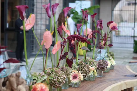 Giardini d'Autore Rimini edizione autunno 2025