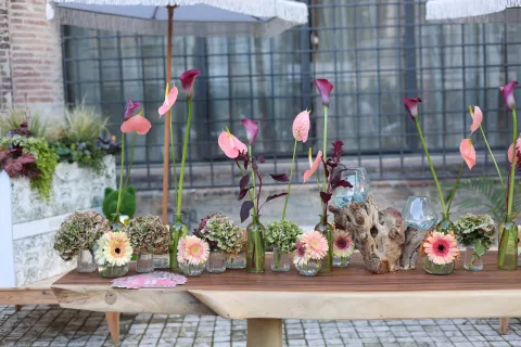 Giardini d'Autore Rimini edizione autunno 2025