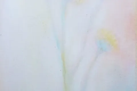 FIOR DI CAMPO - FINOCCHIO