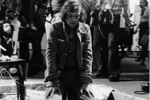 Fluxus mostra