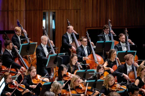 Philharmonia lower strings landscape credit Marc Gascoigne