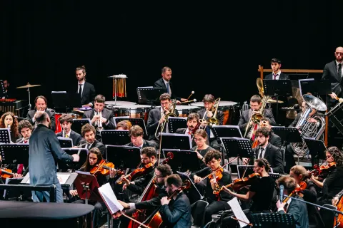 Orchestra Senzaspine