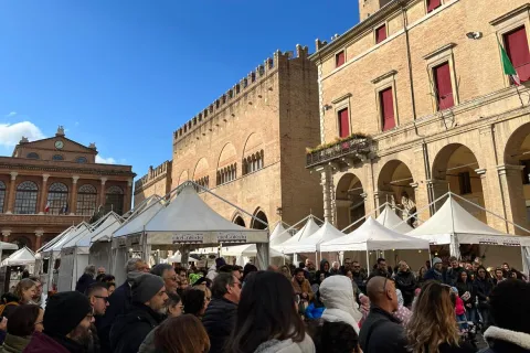 Cioculeda