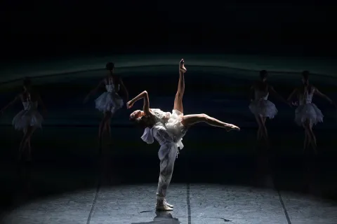 "Il lago dei Cigni” riletto dal Ballet Preljocaj