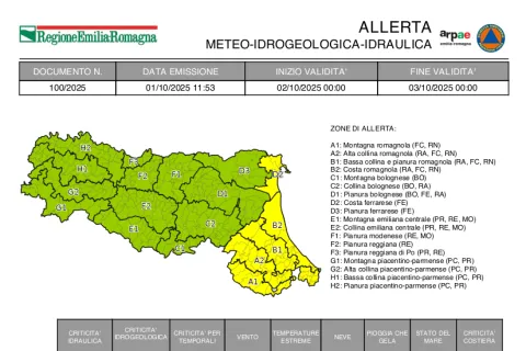 Allerta 100 2025